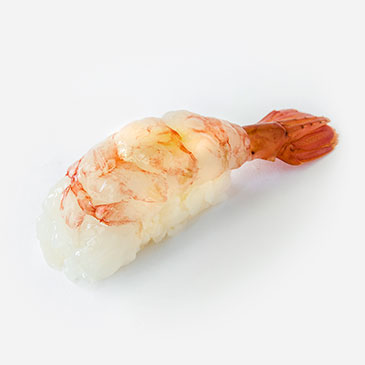 Shrimp Sushi